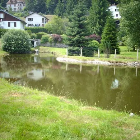 Familial Aux Vosges Avec Jeux Pour Enfants, A Proximite De La Nature Et Activites Sportives - Fr-1-589-111 Nyaraló Le Ménil