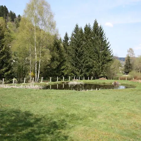 Familial Aux Vosges Avec Jeux Pour Enfants, A Proximite De La Nature Et Activites Sportives - Fr-1-589-111