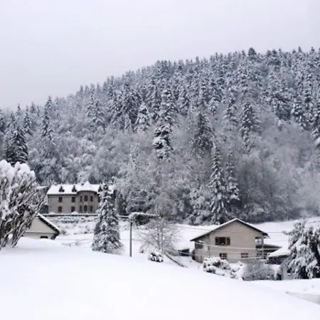 Familial Aux Vosges Avec Jeux Pour Enfants, à Proximité De La Nature Et Activités Sportives - Fr-1-589-111 Le Ménil