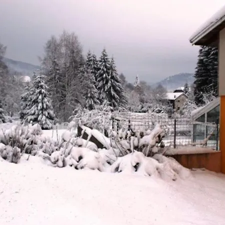Familial Aux Vosges Avec Jeux Pour Enfants, à Proximité De La Nature Et Activités Sportives - Fr-1-589-111 Casa di campagna Le Ménil