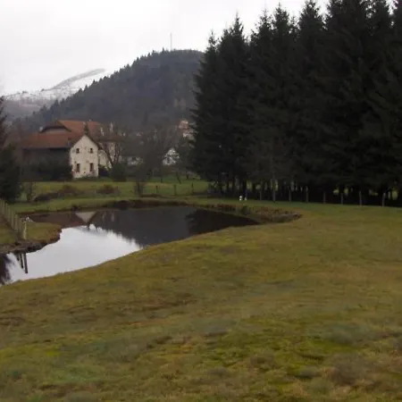 Familial Aux Vosges Avec Jeux Pour Enfants, A Proximite De La Nature Et Activites Sportives - Fr-1-589-111 Nyaraló