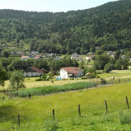Nyaraló Familial Aux Vosges Avec Jeux Pour Enfants, A Proximite De La Nature Et Activites Sportives - Fr-1-589-111 Le Ménil
