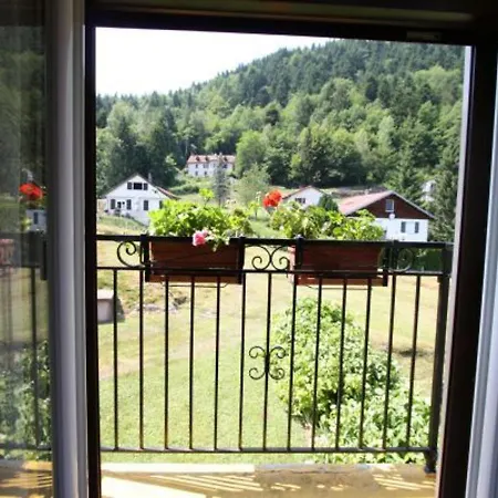 Familial Aux Vosges Avec Jeux Pour Enfants, A Proximite De La Nature Et Activites Sportives - Fr-1-589-111