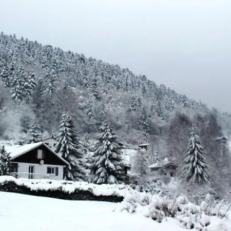 Familial Aux Vosges Avec Jeux Pour Enfants, A Proximite De La Nature Et Activites Sportives - Fr-1-589-111